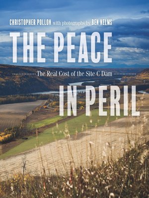 cover image of The Peace in Peril